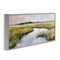 Stupell Industries Grassy Rural Marshlands Framed Giclee Wall Art Design by Nina Blue